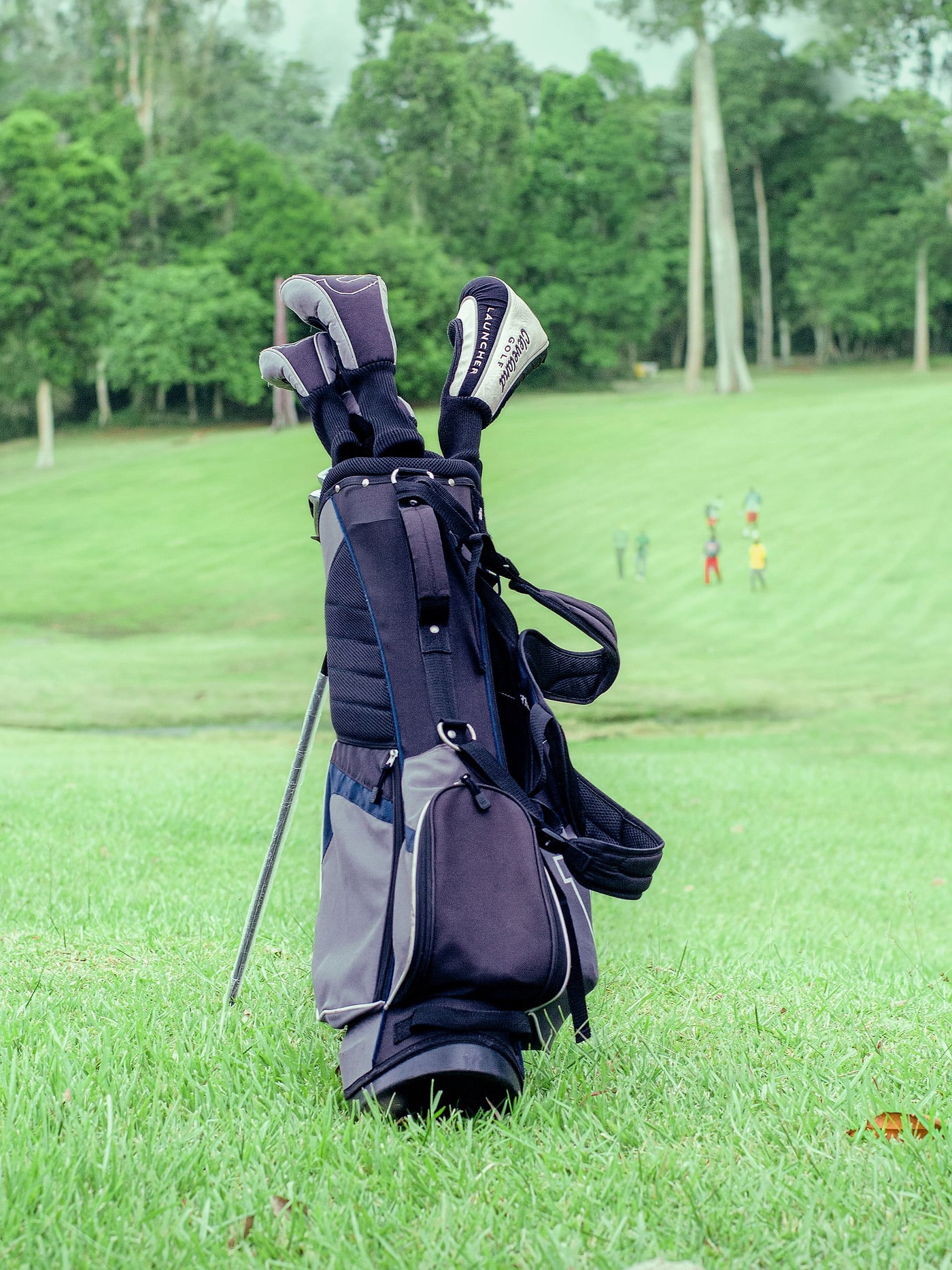 A stand bag on the fairway, players in the distance