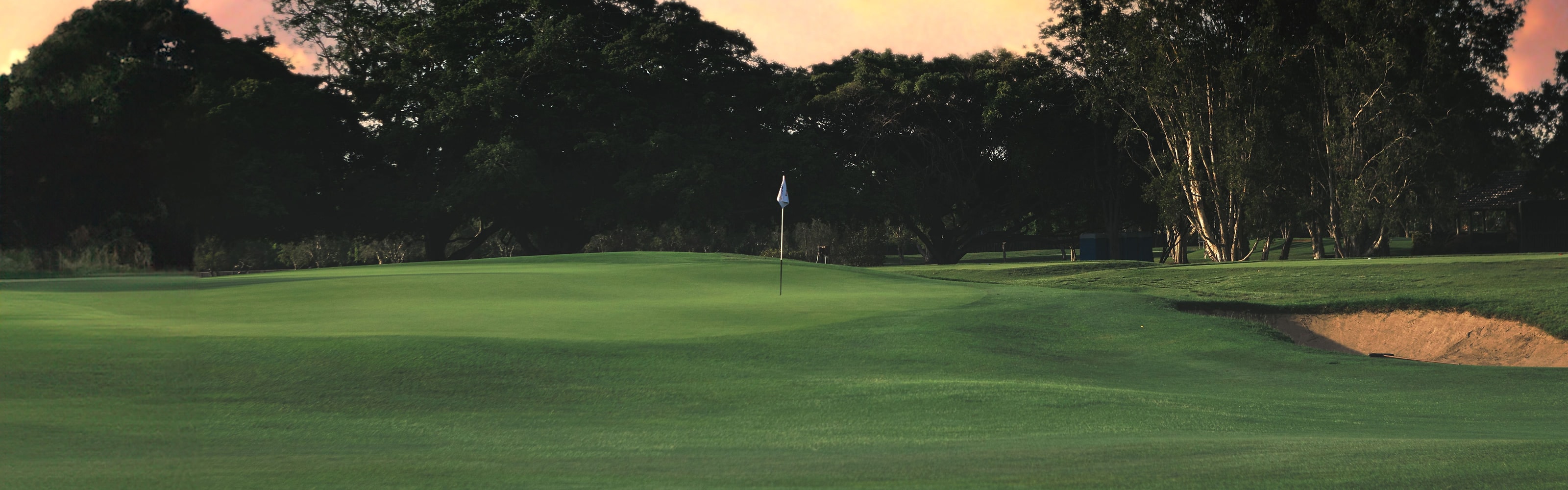 An empty green at dusk, the flagstick standing against the trees