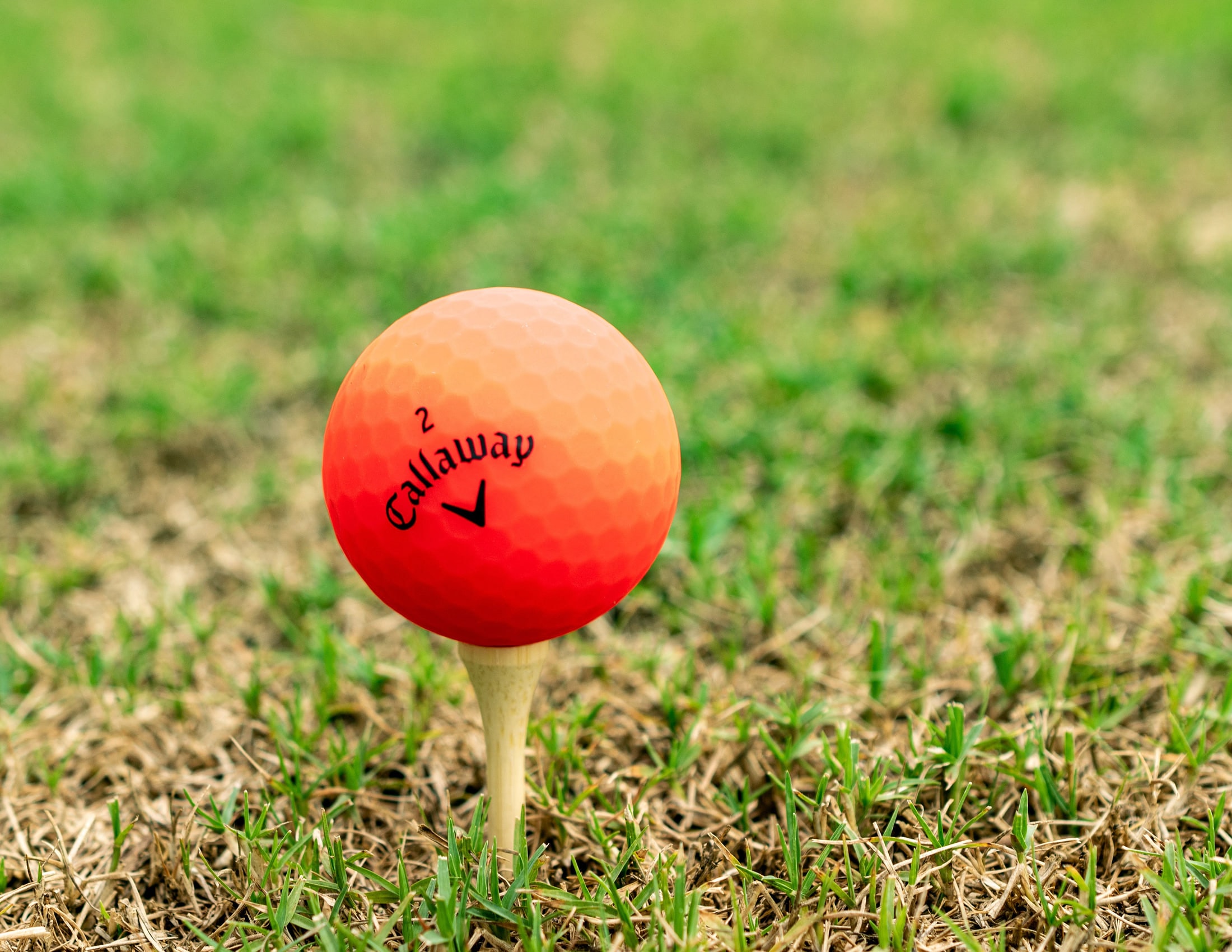 An orange Callaway ball on a tee in cut grass