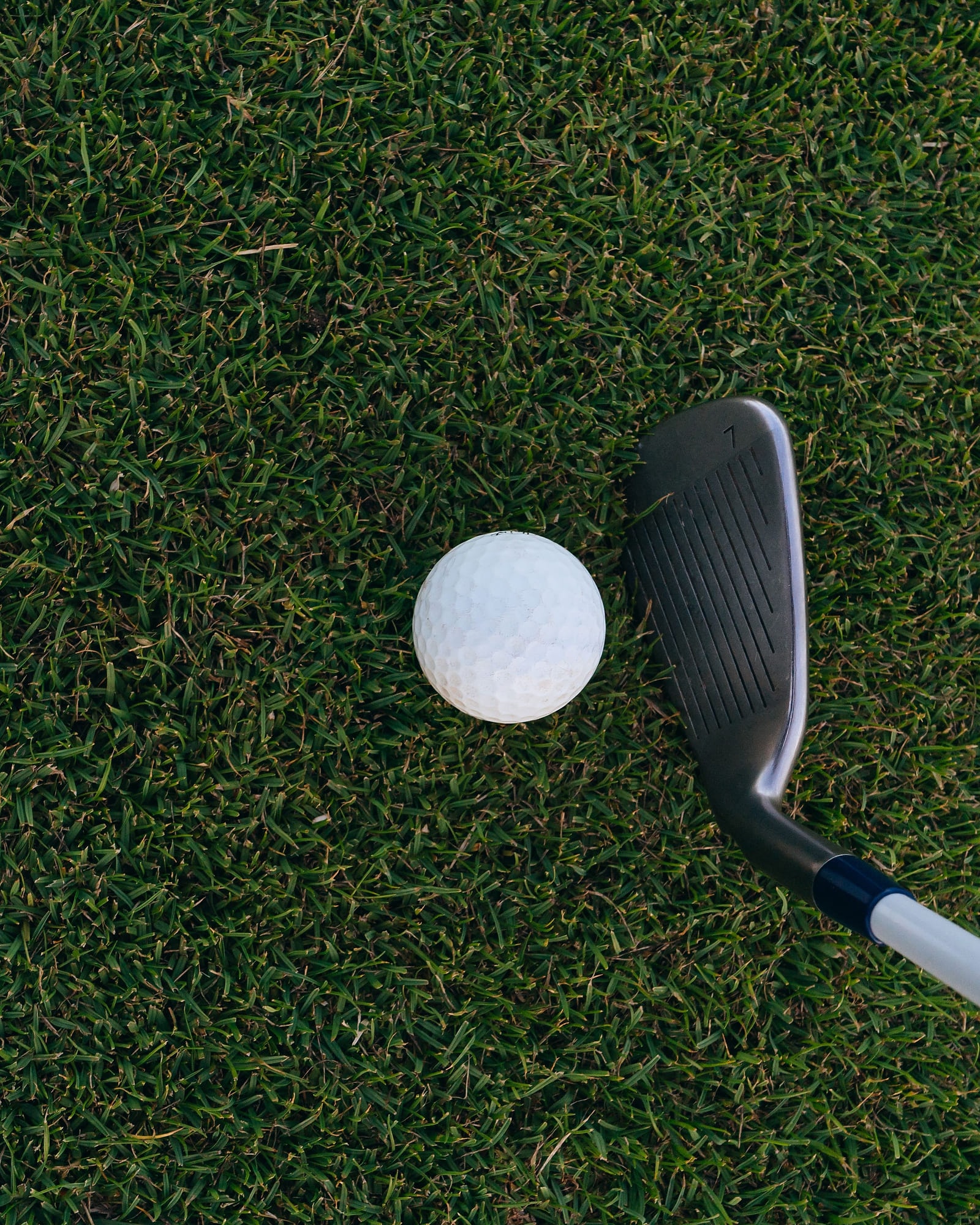 A wedge sole and a ball on cut grass, seen from above