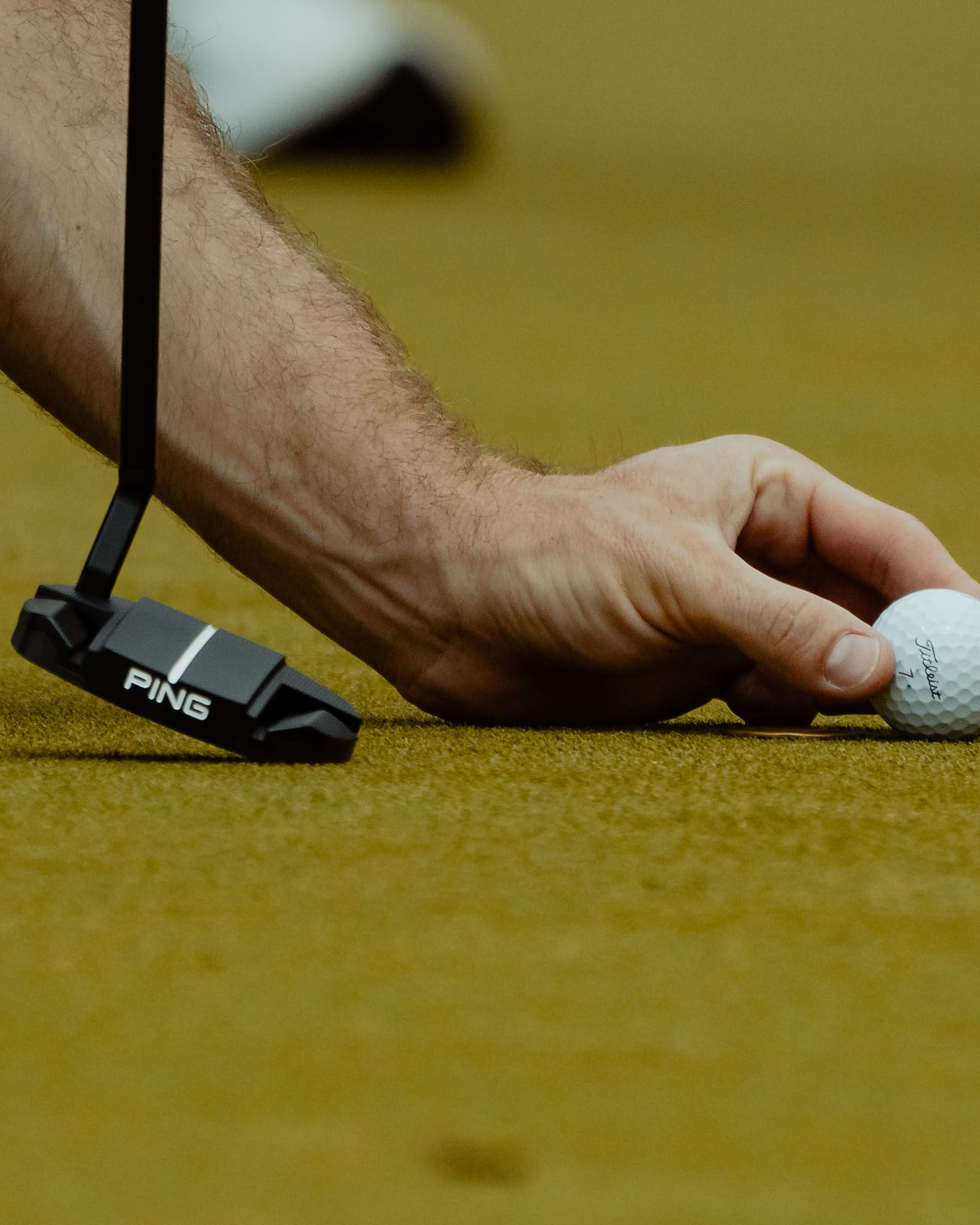 A hand setting a ball down beside a Ping putter on the green