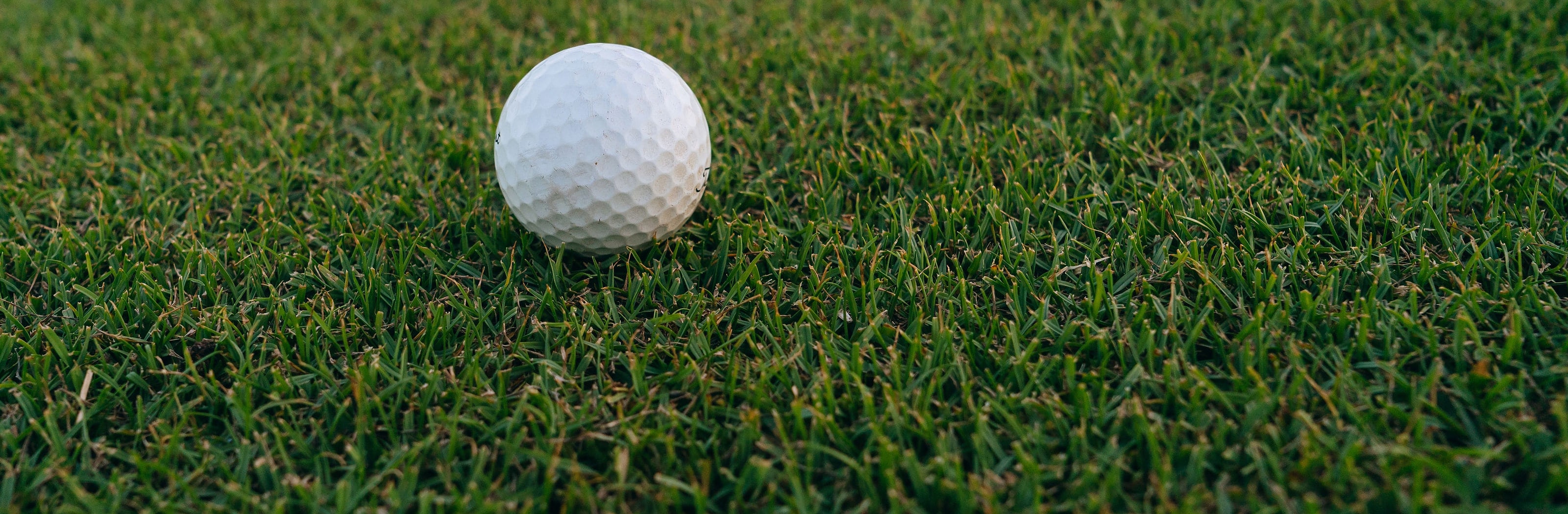 A single golf ball sitting up on a mown fairway