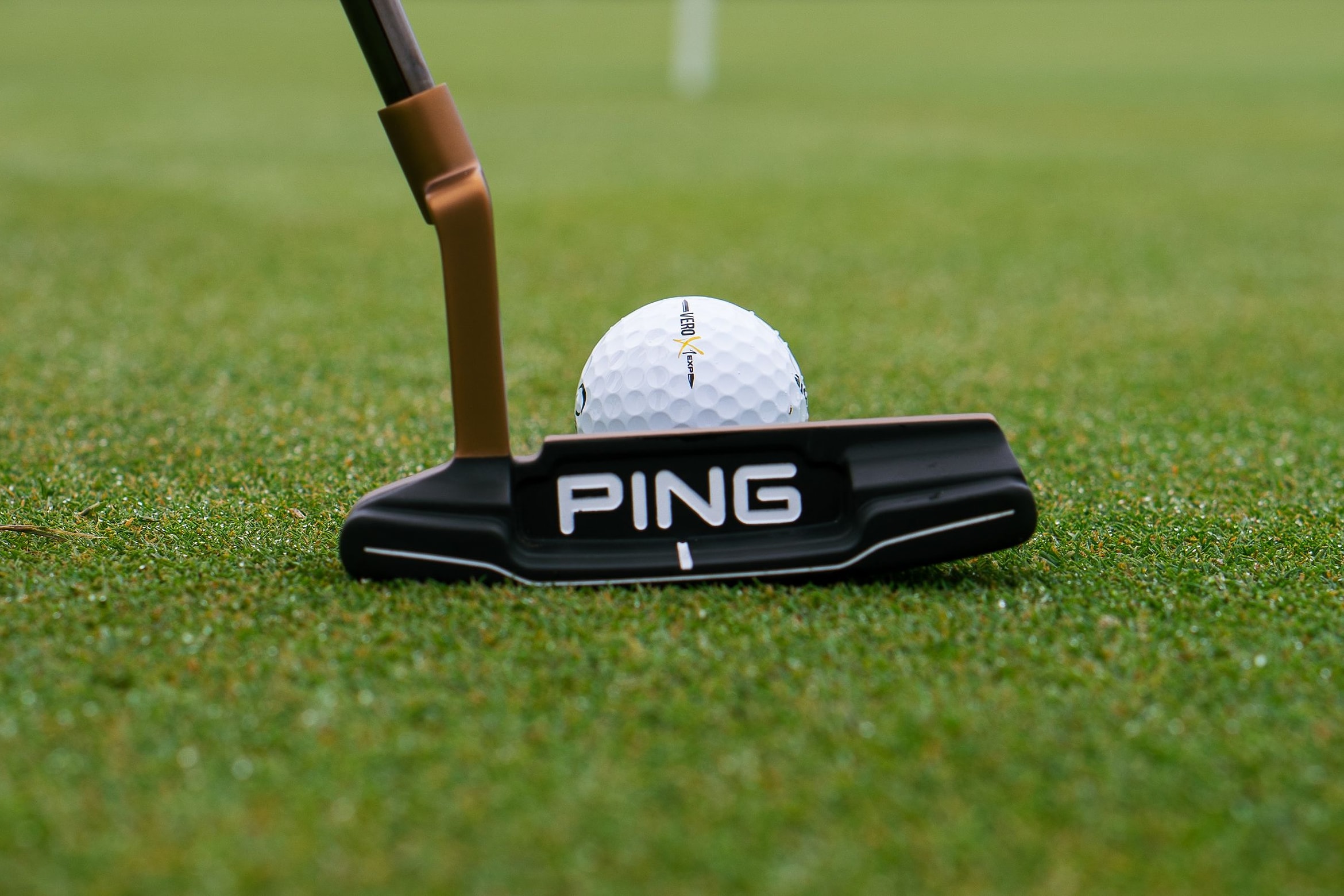 A blade putter set behind a ball on a putting green