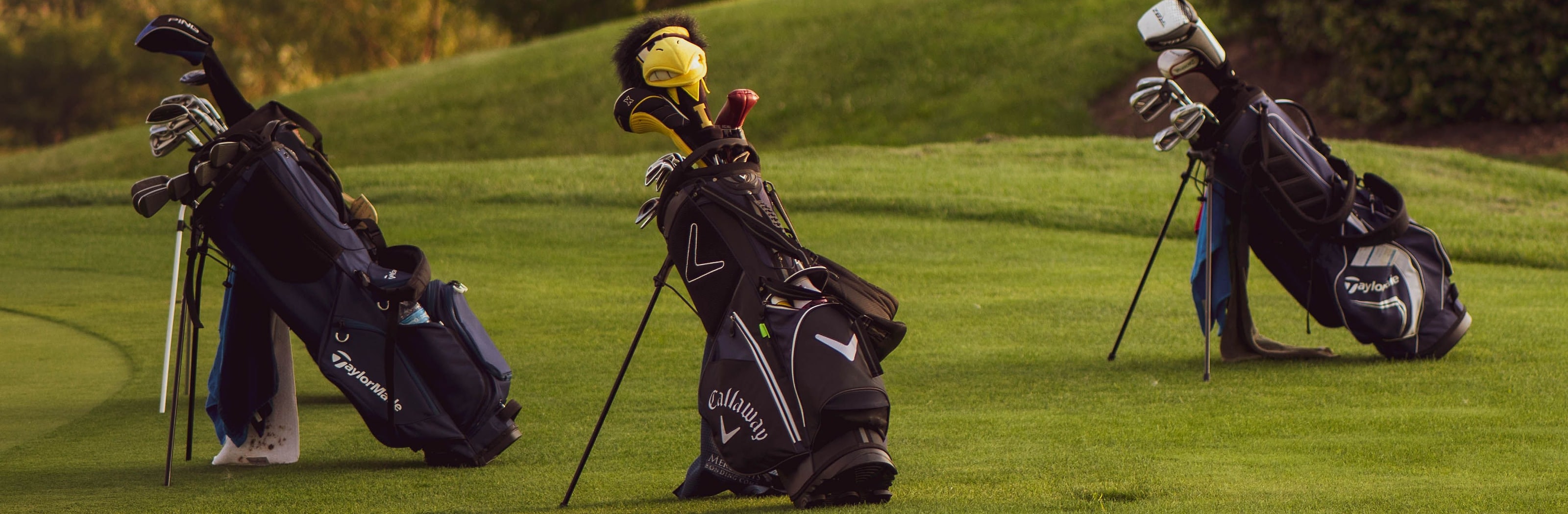 Three stand bags with their legs out on a fairway